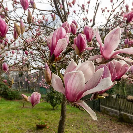 Nyaraló Casa Regueiras *