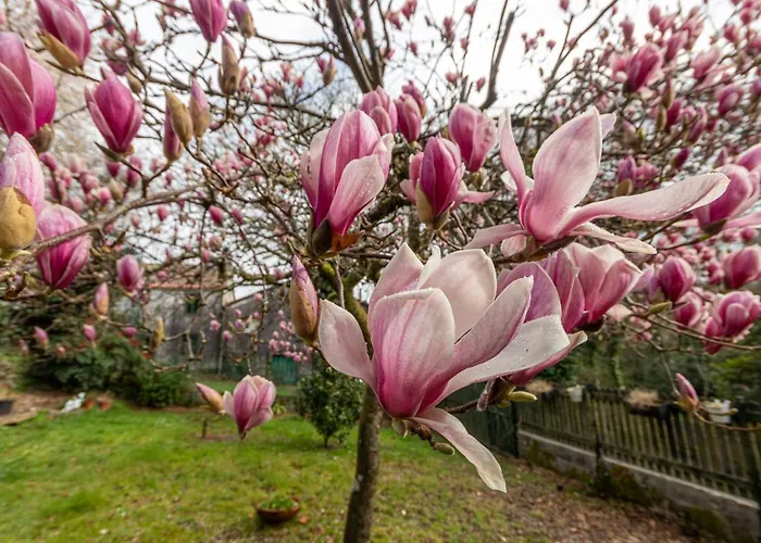 Dom wakacyjny Casa Regueiras *